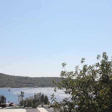 M Aparthotel *